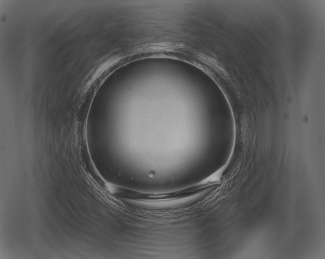 X0000068811404200605121238