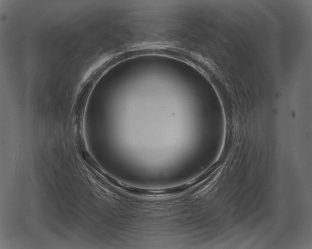 X0000068811406200605121238