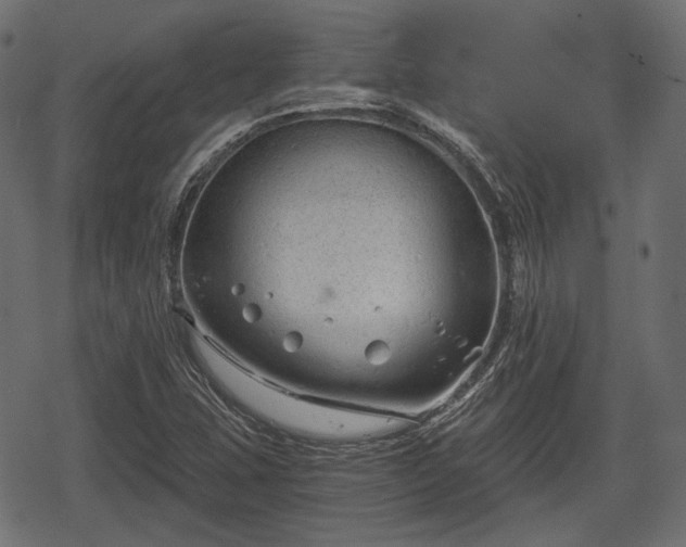 X0000068811407200605121238