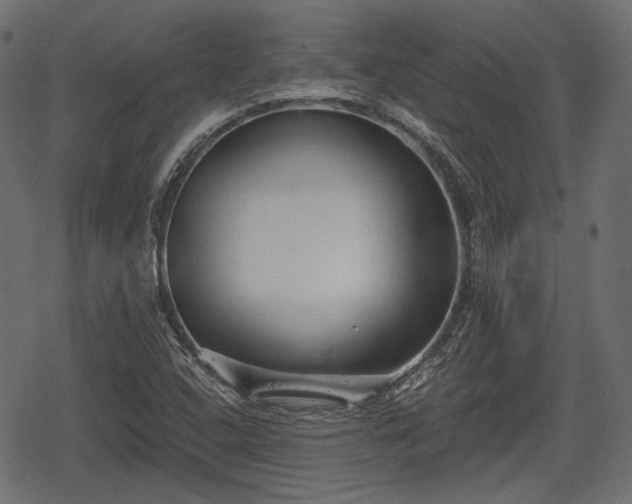 X0000068811408200605121238