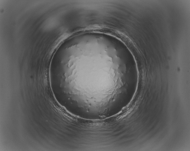 X0000068811409200605121238