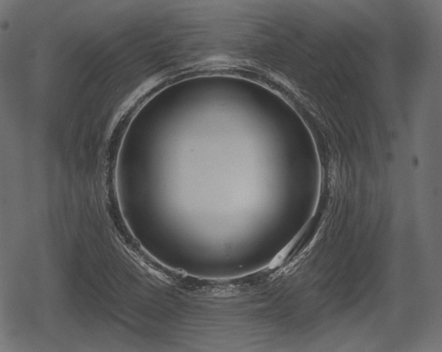 X0000068811410200605121238