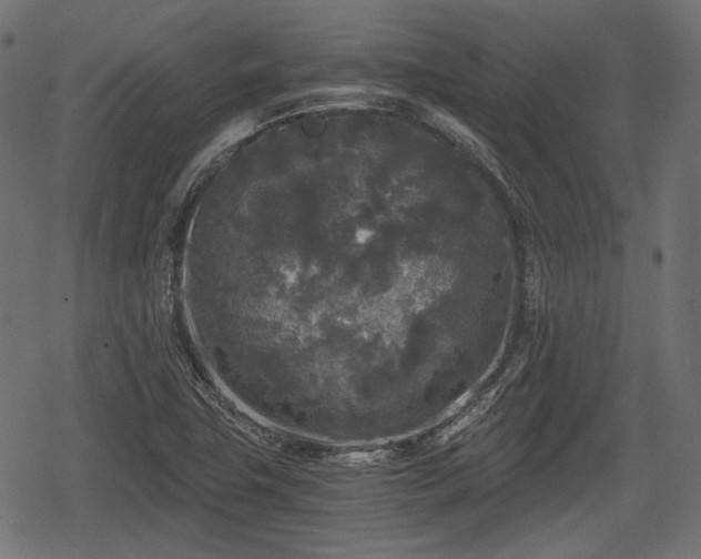 X0000068811411200605121238