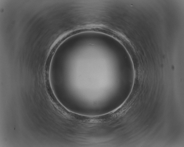 X0000068811412200605121238