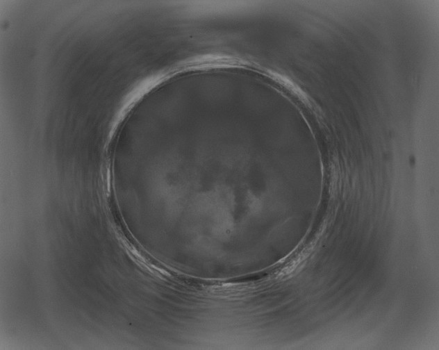 X0000068811413200605121238