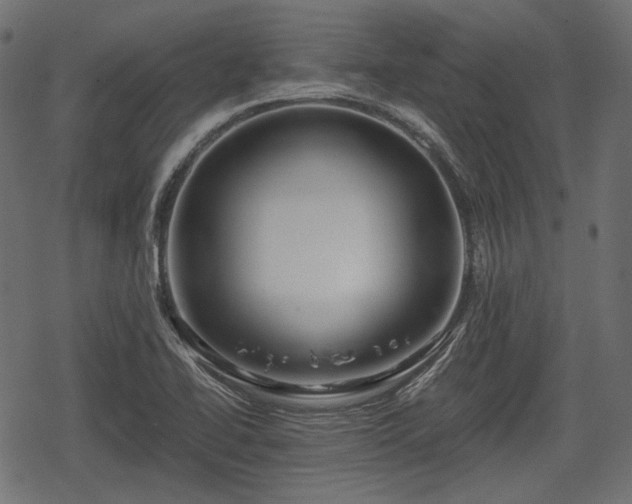 X0000068811414200605121238