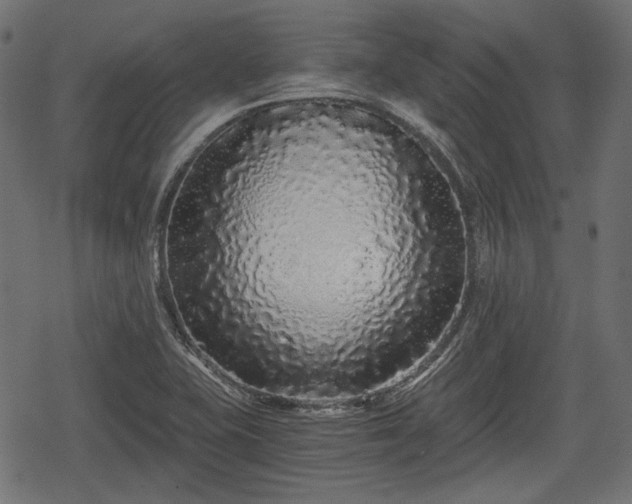 X0000068811415200605121238