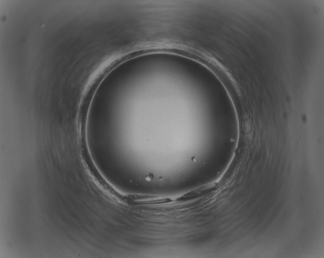 X0000068811416200605121239