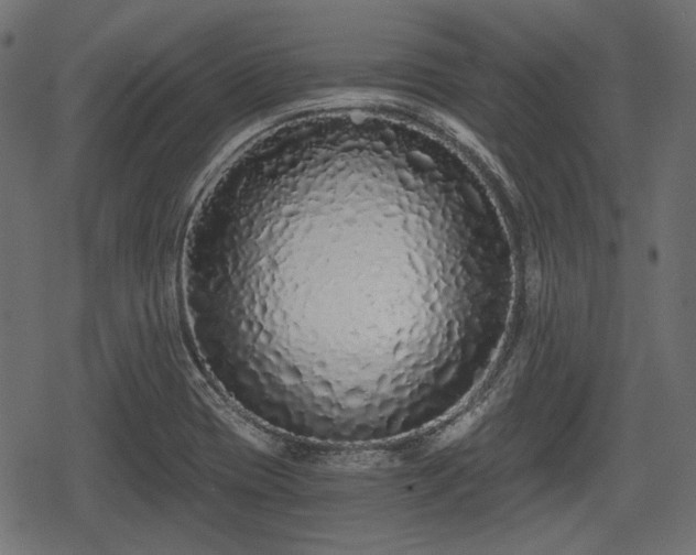 X0000068811417200605121239