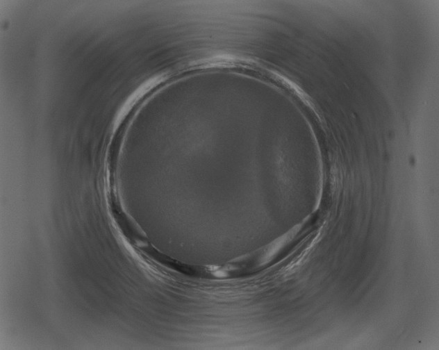 X0000068811418200605121239