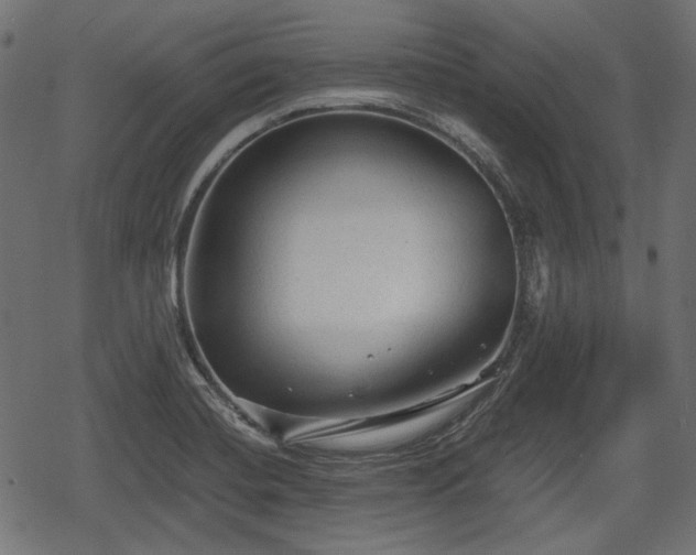 X0000068811420200605121239