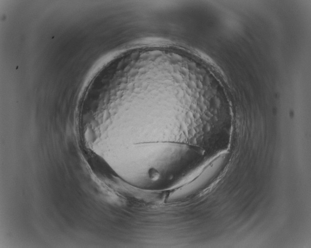 X0000068811421200605121239