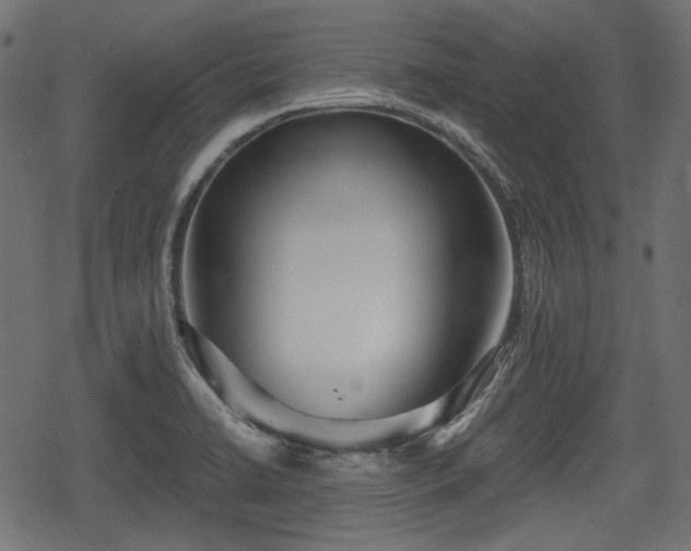 X0000068811422200605121239