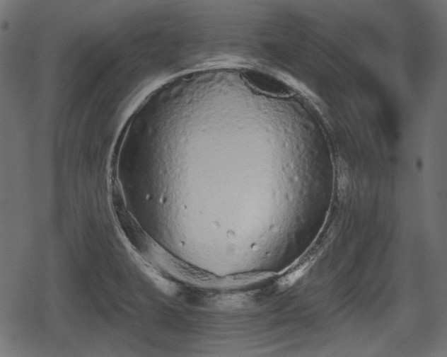 X0000068811423200605121239