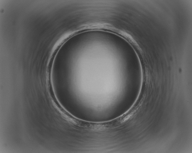 X0000068811424200605121239