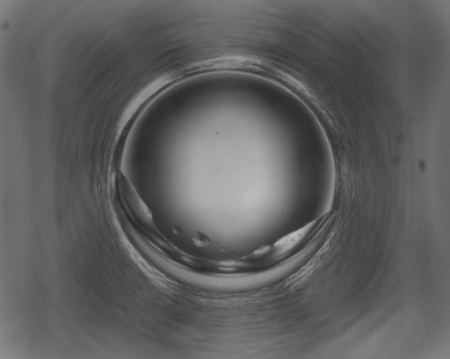 X0000068811426200605121239