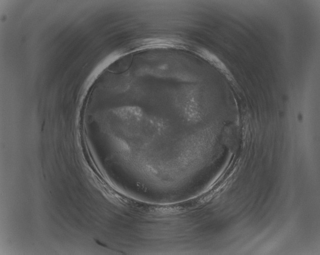 X0000068811427200605121239