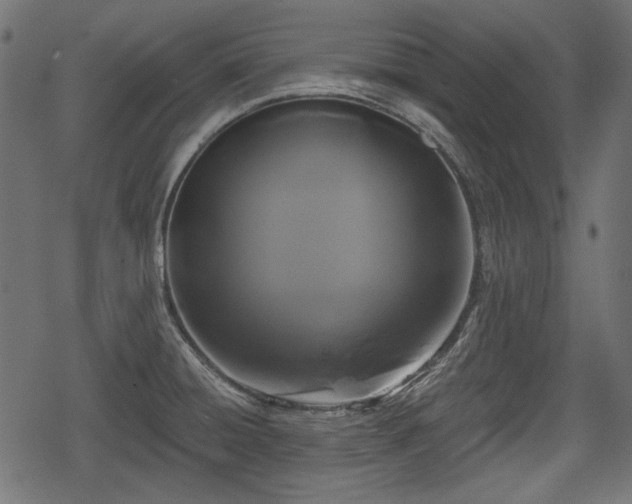 X0000068811428200605121239