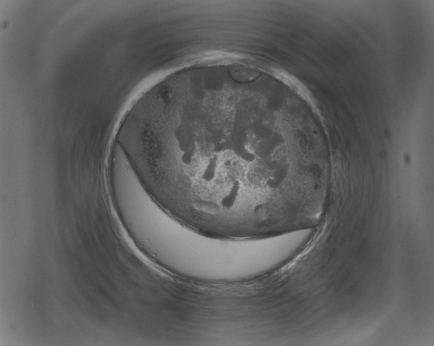 X0000068811429200605121239