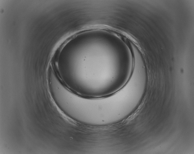 X0000068811430200605121239