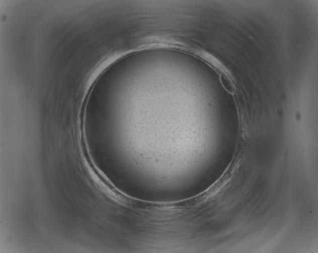 X0000068811431200605121239