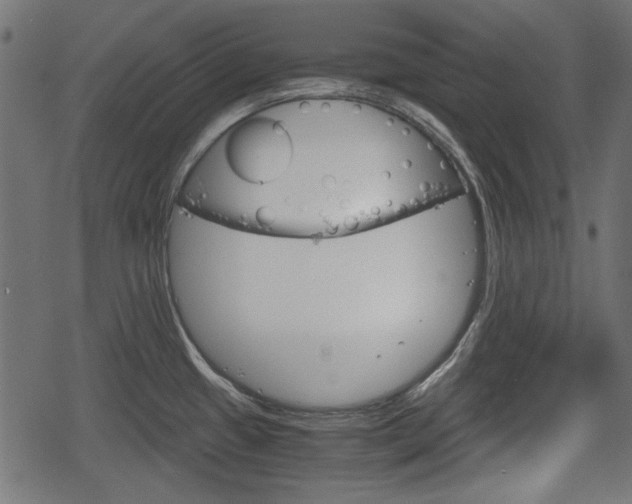 X0000068811433200605121239