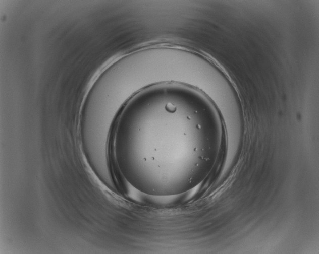 X0000068811434200605121239