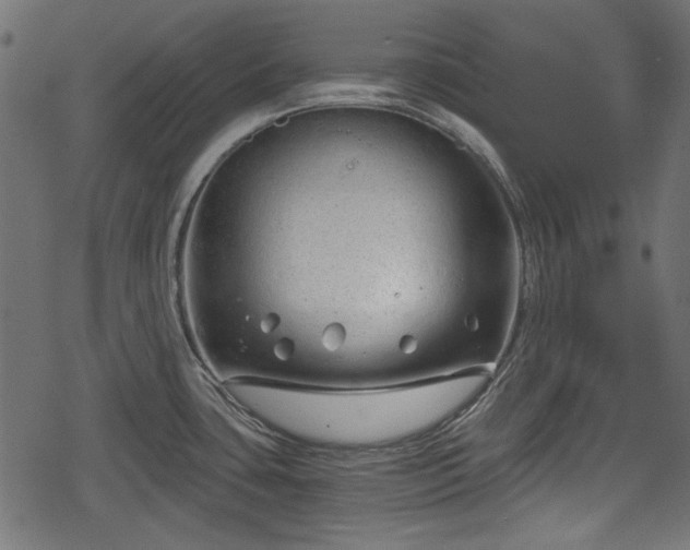 X0000068811435200605121239