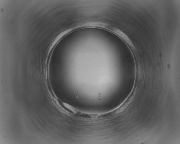 X0000068811436200605121239