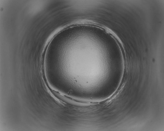 X0000068811437200605121239