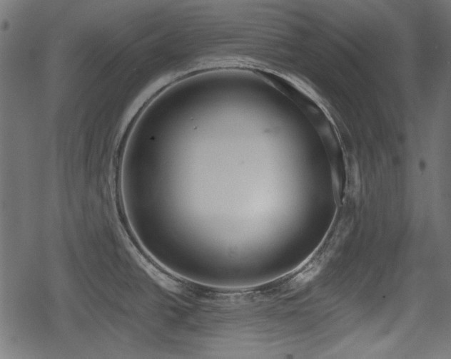 X0000068811438200605121239