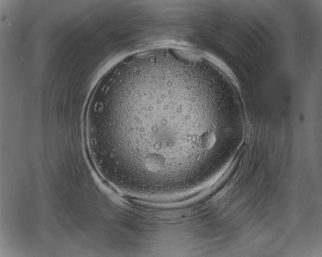 X0000068811439200605121239