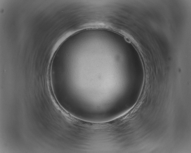 X0000068811440200605121239