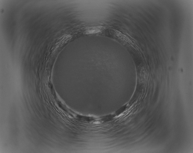 X0000068811441200605121238