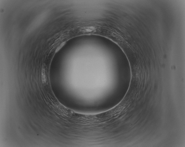 X0000068811442200605121238