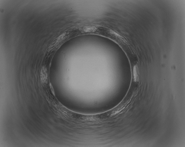 X0000068811443200605121238