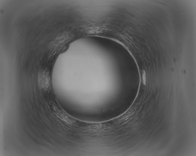 X0000068811444200605121238