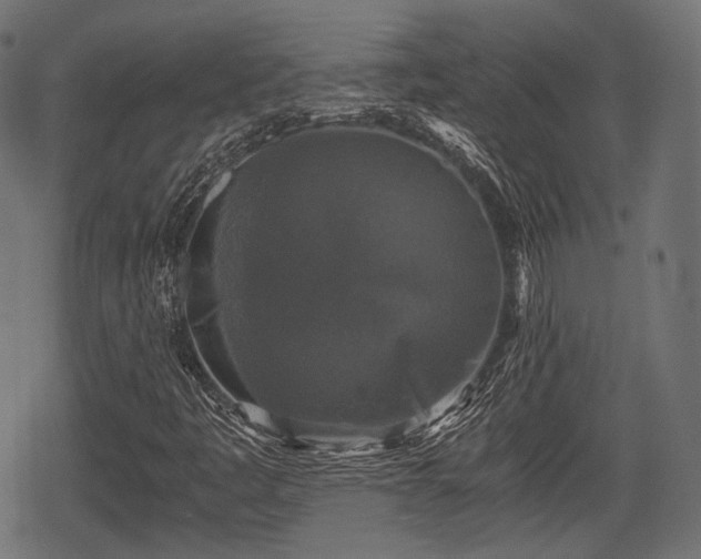 X0000068811445200605121238