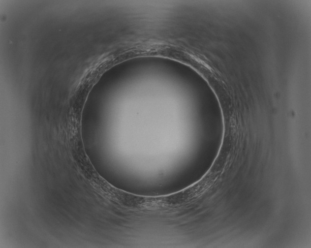 X0000068811447200605121238