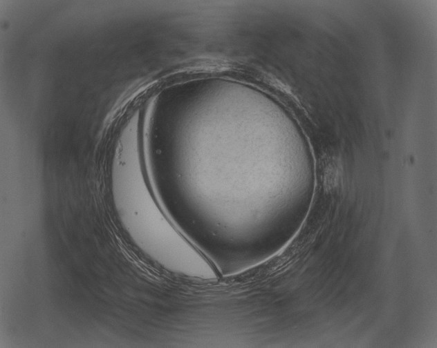 X0000068811448200605121238