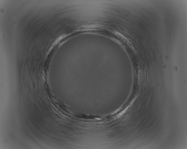 X0000068811449200605121238