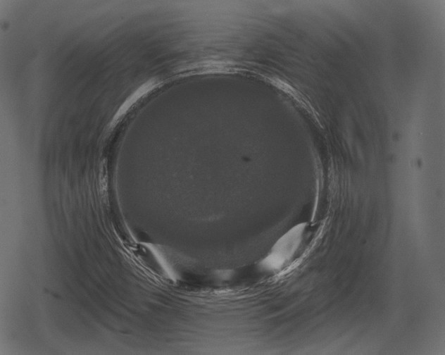 X0000068811450200605121238