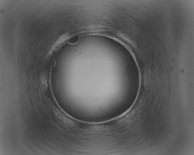 X0000068811451200605121238