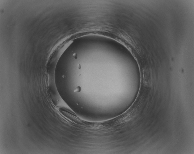 X0000068811452200605121238