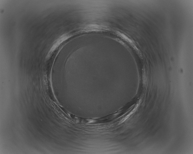 X0000068811453200605121238