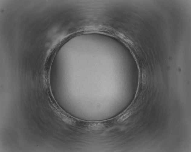 X0000068811454200605121238