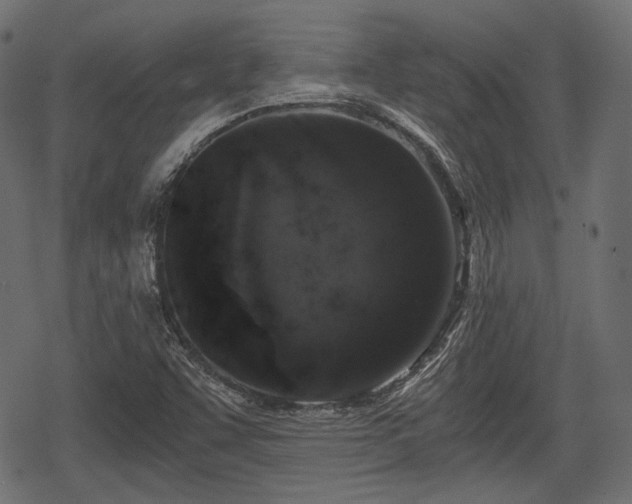 X0000068811455200605121238