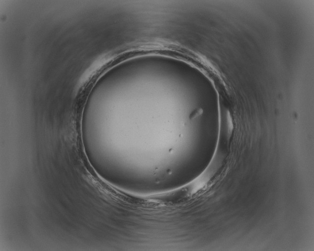 X0000068811456200605121238