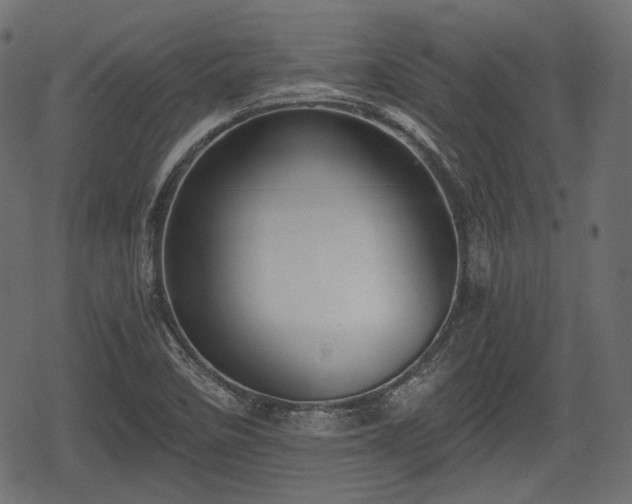 X0000068811458200605121238