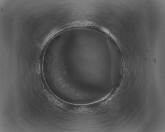 X0000068811459200605121238